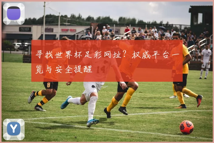 寻找世界杯足彩网址？权威平台一览与安全提醒