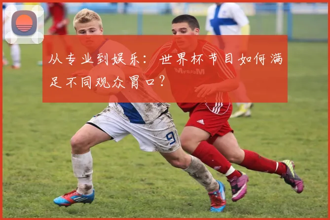 从专业到娱乐：世界杯节目如何满足不同观众胃口？