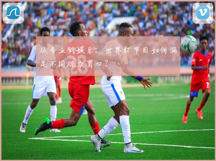 从专业到娱乐：世界杯节目如何满足不同观众胃口？